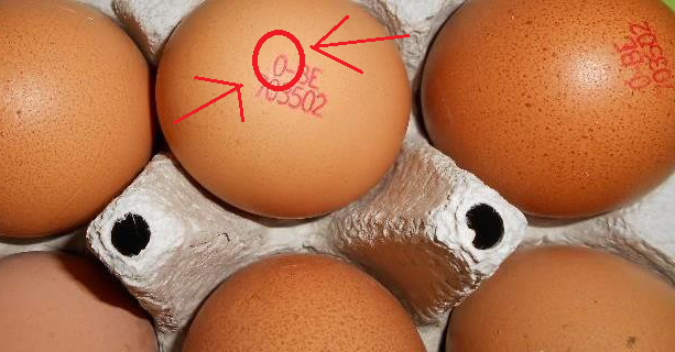 Hoe kun je voorkomen dat je “foute” en onsmakelijke eieren koopt?