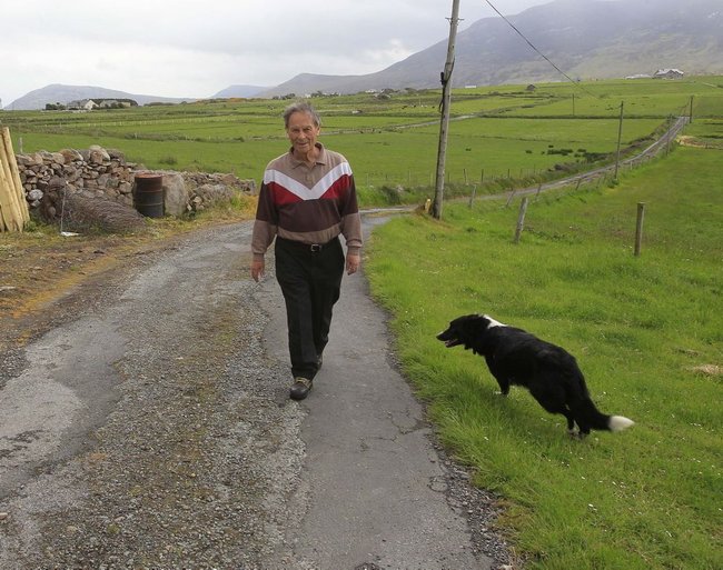 Ierse boer (74) geneest eigen kanker met tarwegras