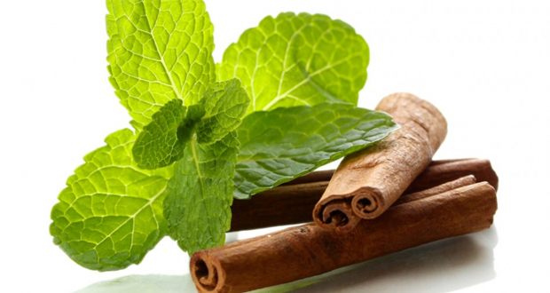 Peppermint oil and cinnamon are effective wound healers