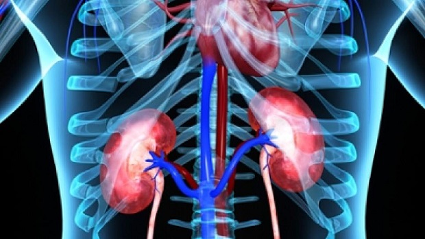 Chronische nierziekte vaker door maagzuurremmers