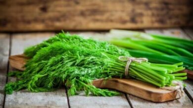 Chemotherapie op natuurlijke basis: peterselie en dille