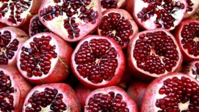 Granaatappels helpen tegen veroudering