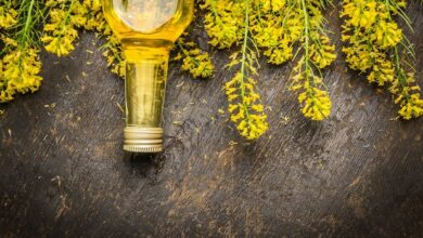 Koolzaadolie is gelinkt aan gewichtstoename en slechter geheugen