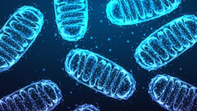 30 bewezen tips om kanker te voorkomen