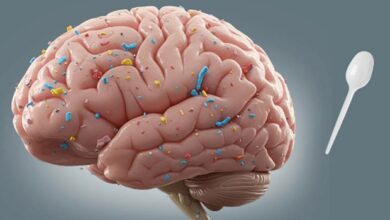 Microplastics uit je hersenen verwijderen op natuurlijke wijze