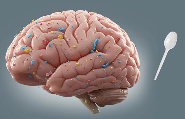 Microplastics uit je hersenen verwijderen op natuurlijke wijze