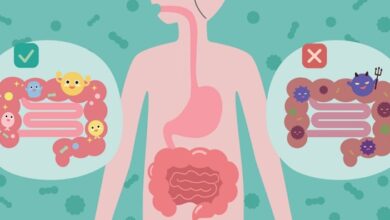 10 schadelijkste voedingsmiddelen voor je darmen