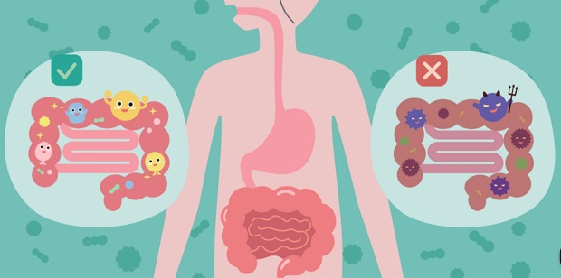 10 schadelijkste voedingsmiddelen voor je darmen