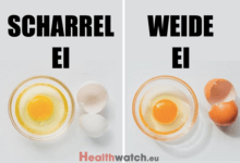 Zijn duurdere eieren het geld waard?
