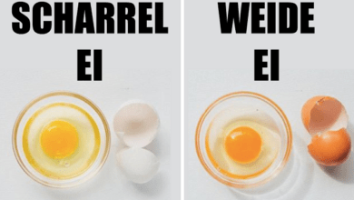 Zijn duurdere eieren het geld waard?