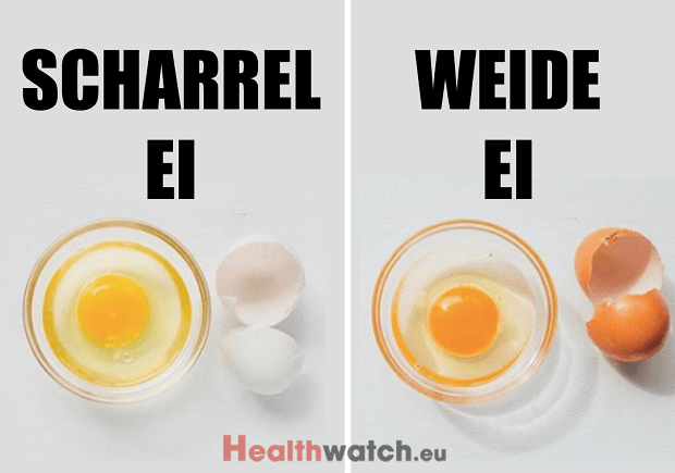 Zijn duurdere eieren het geld waard?